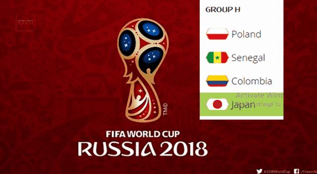 世界杯2022网站,世界杯国家冷知识