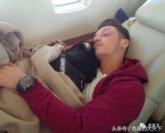 足球吉祥物狗狗盘点,一只狗狗拯救了无数人