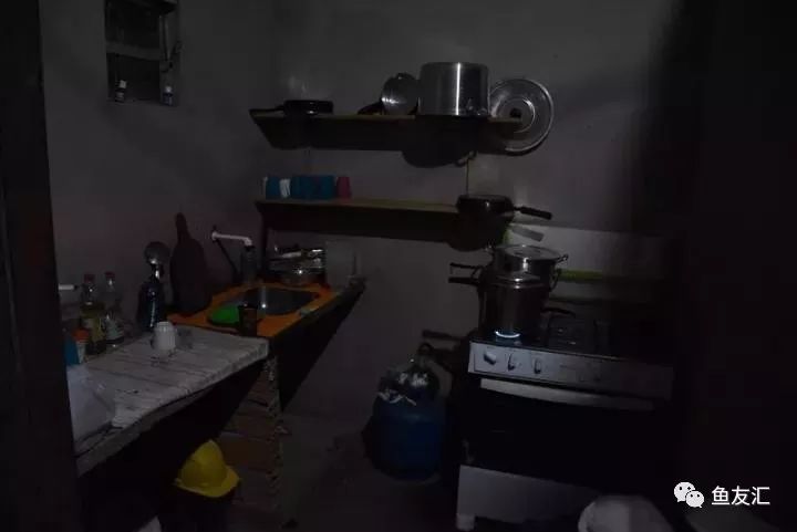 特隆贝塔如何饲养,特隆贝塔半皇与红彩区别