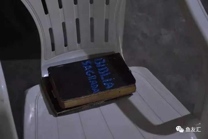 特隆贝塔如何饲养,特隆贝塔半皇与红彩区别