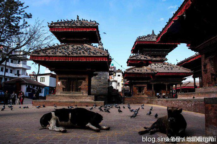 高山王国，千佛之国，佛教发源地，世界唯一非矩形*旗国**——尼泊尔