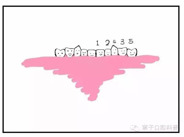 儿童治疗牙齿科普动画,孩子牙齿成长全过程