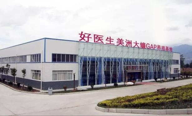 养殖10亿只蟑螂,四川成都蟑螂养殖基地