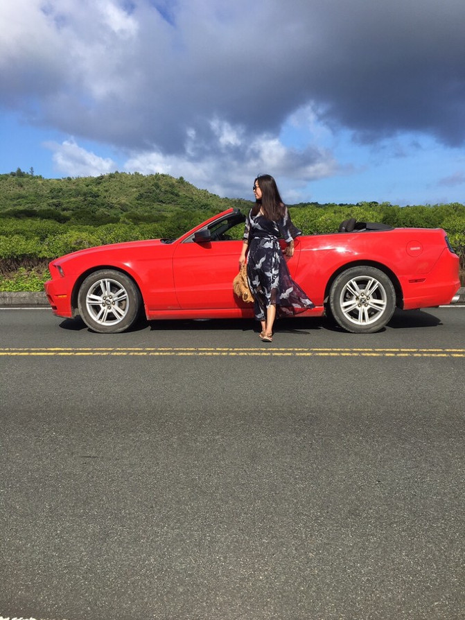 帕劳海底之旅,帕劳的海底