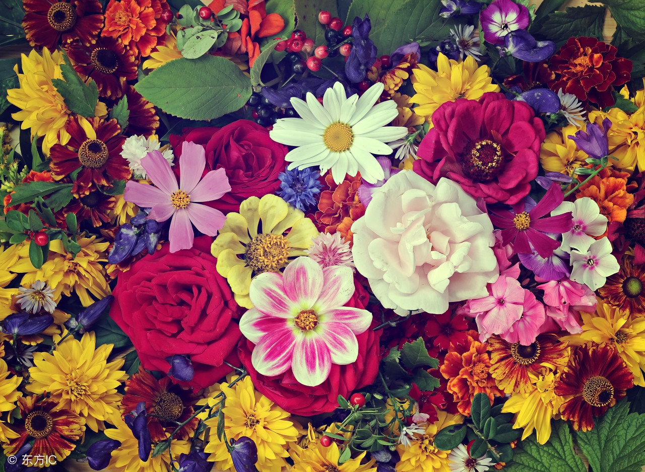 生活小常识收藏,各种实用的生活小常识