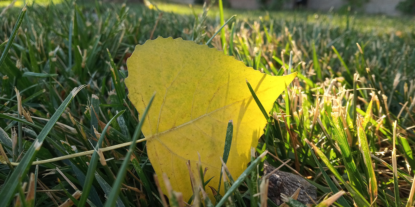 红米6评测,红米6测评和平精英