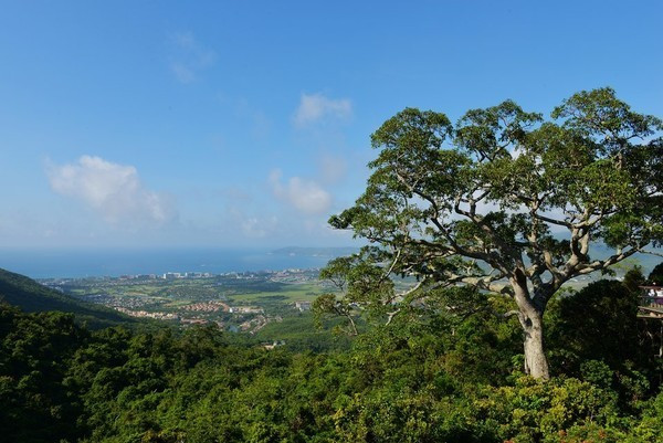 四天四夜三亚攻略,三亚民宿四天三晚民宿推荐