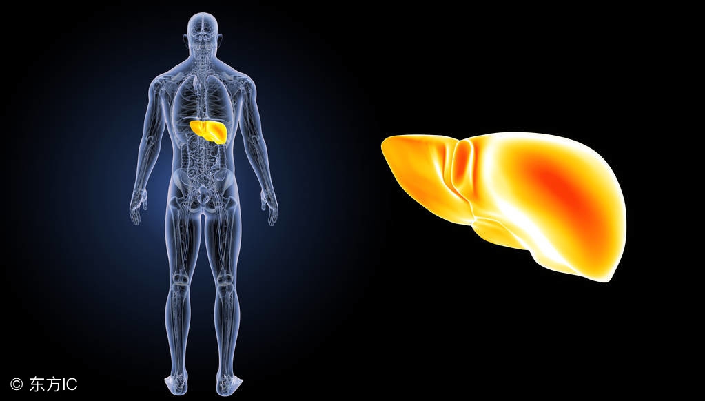 肝炎恶化会怎样,肝炎好转的征兆是什么