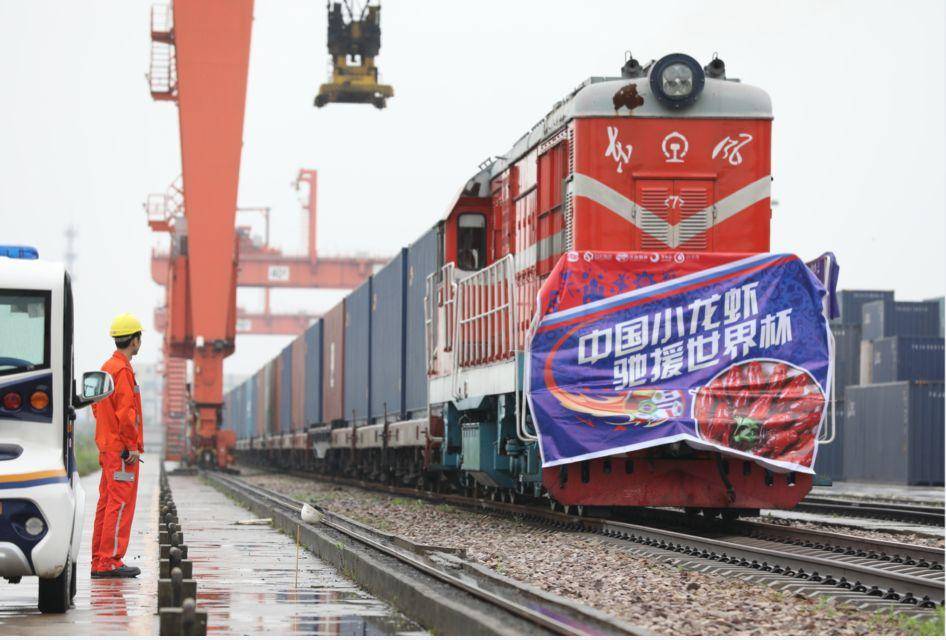 世界杯如何快速变成伪球迷,世界杯“伪球迷”看球指南