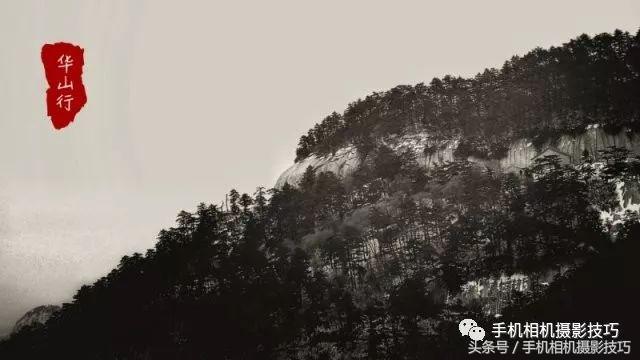 怎么学会给图片起名字呢,如何给照片取名字呢