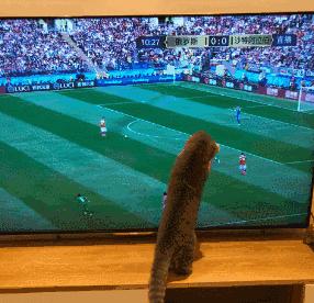 广西人看世界杯的地方,南宁看世界杯地方