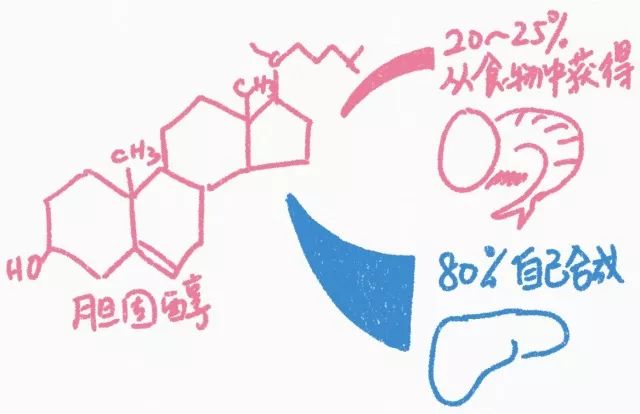 一天最多可以吃几个蛋,每天最多可以吃几个蛋