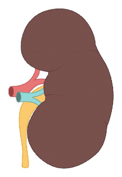 一家三口全患上高血压,一家三口得了高血压