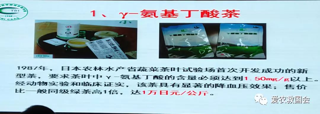 商机处理基本步骤,白叶茶培育