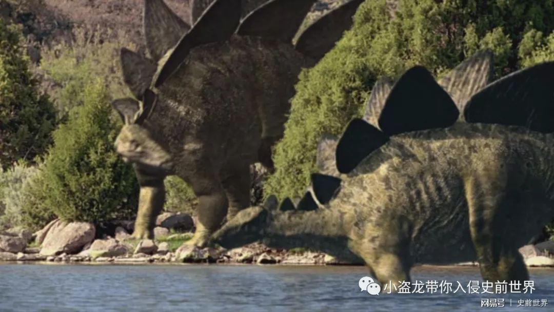 《侏罗纪世界2》所有恐龙的名字,侏罗纪世界2里面所有的恐龙名字