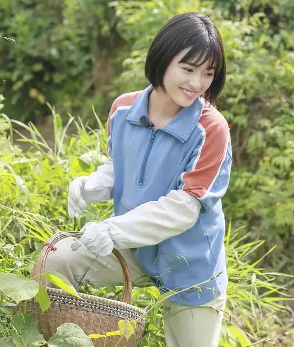 向往的生活被黄磊怼的女生,和黄磊一起参加向往的生活