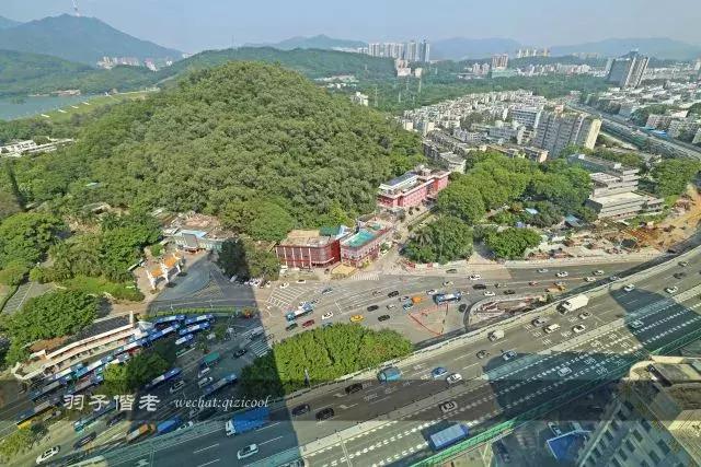 深圳看世界杯酒店,深圳这家酒店很有特色