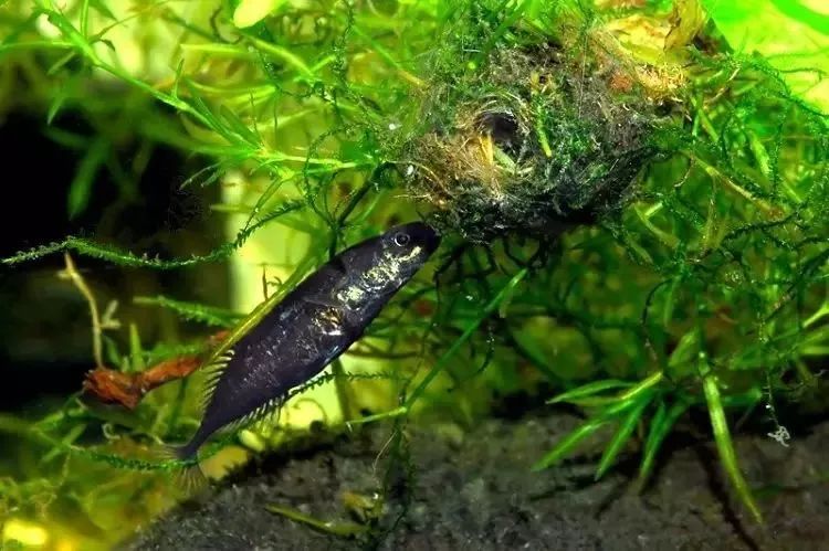 带上你的SuperHero，一起留下最温暖的回忆！