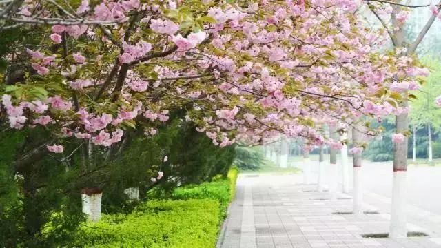 超级英雄父亲节礼物,父亲节超级英雄