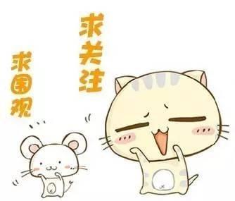 熟悉的“诺门卫”又回来了,就问你们怕不怕