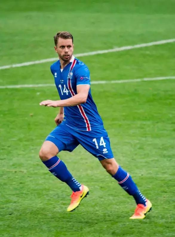 冰岛队进过几次世界杯成绩如何,2016年冰岛国家队