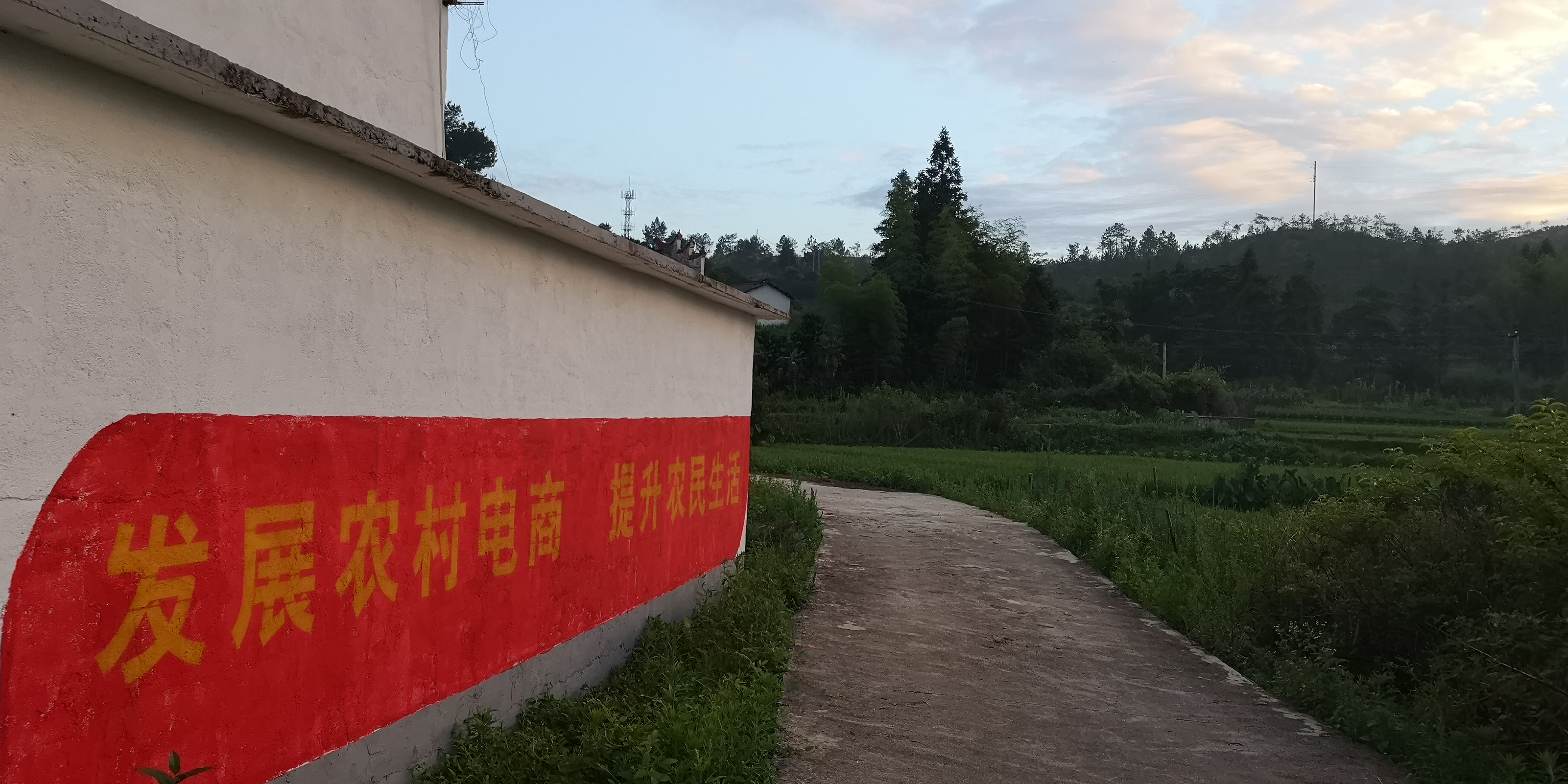 端午农家,民宿端午节美食