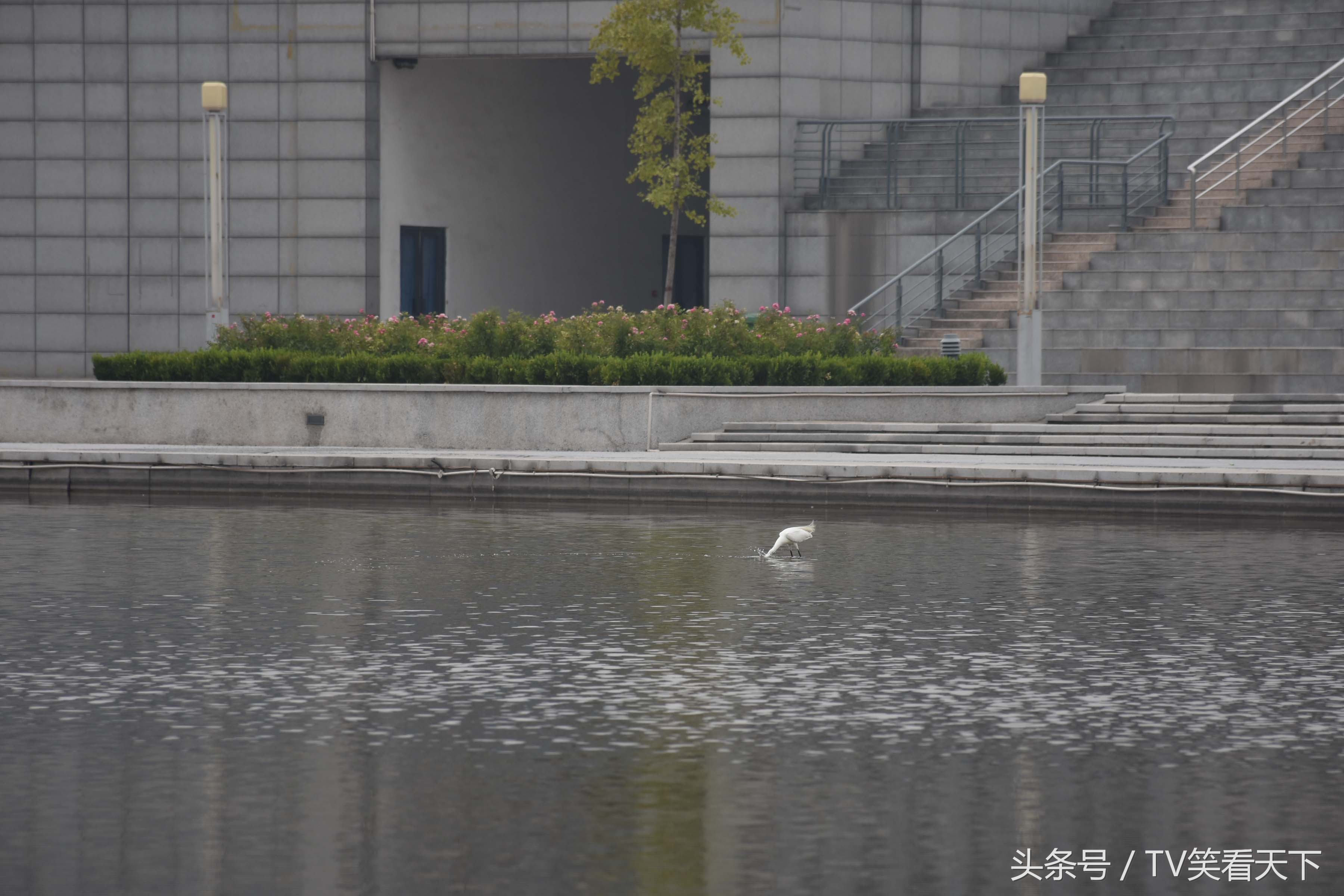 焦作“新体育馆”，有什么好玩的？睁大眼睛！跟我来！