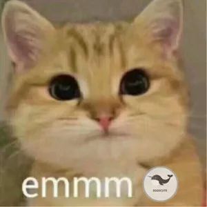 普京观看世界杯揭幕战,世界杯普京名场面