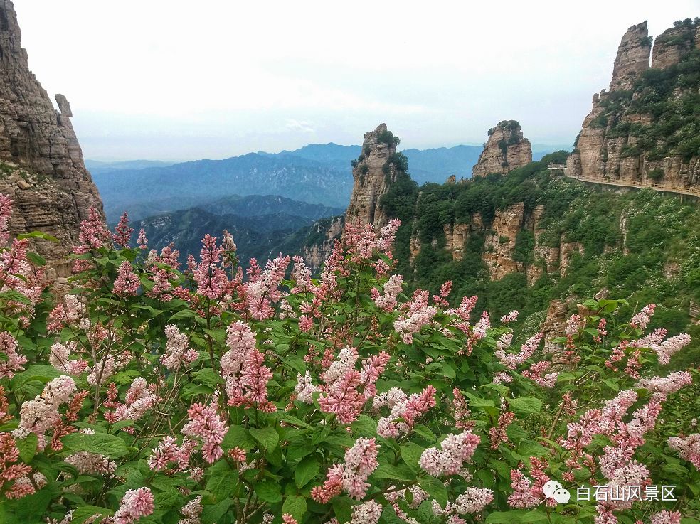 白石山十一特惠门票,白石山免费咖啡攻略