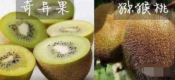 猕猴桃奇异果车厘子樱桃营养比较,猕猴桃奇异果和菠萝凤梨的区别