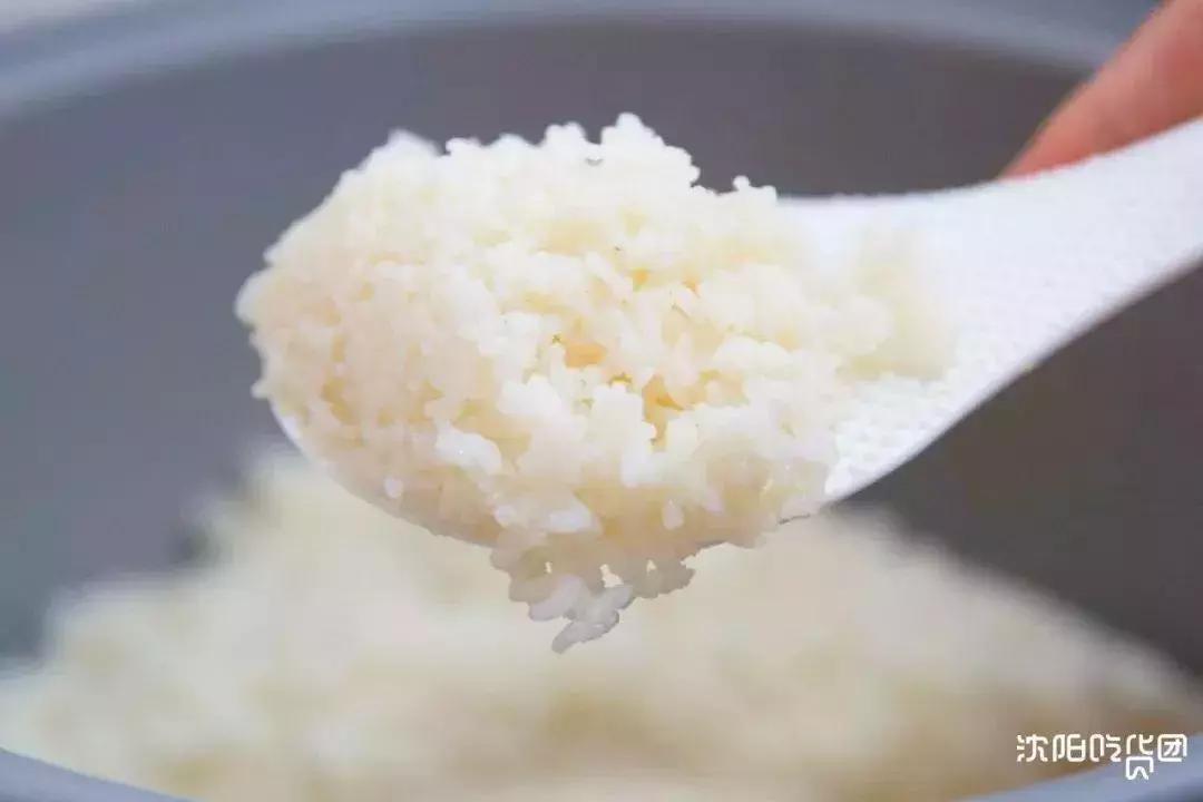 学生最爱吃的炒饭是什么炒饭,学生时代最爱吃的肉松饼