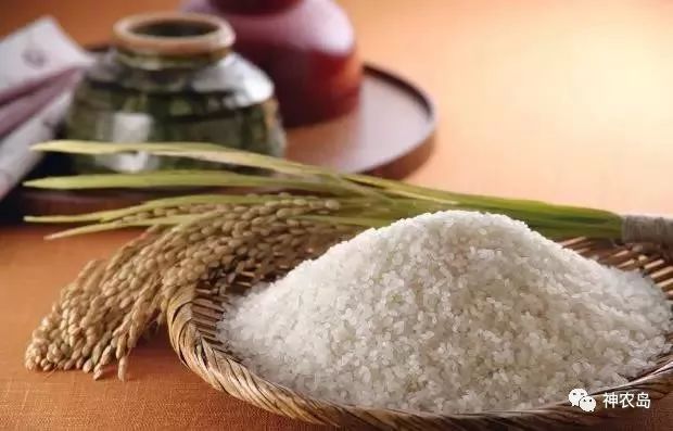 订单农业如何做好,订单农业的五个优秀案例