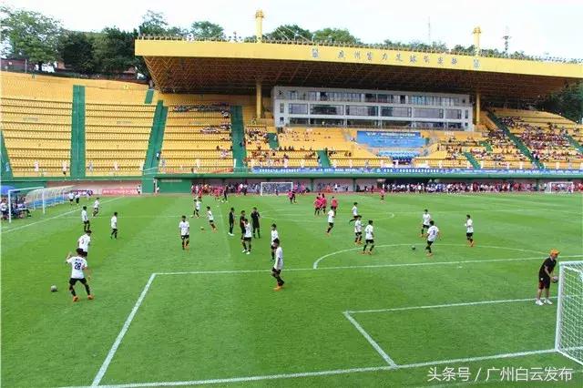 足球世界杯比赛现场气氛,世界杯绿茵盛宴