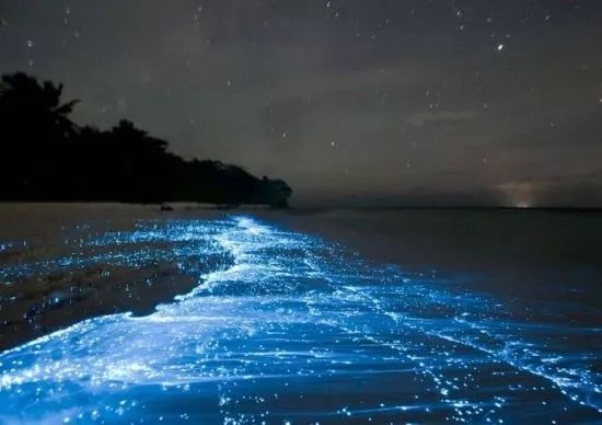 深圳8个看最美日落的地方,深圳45个免费景点夜景