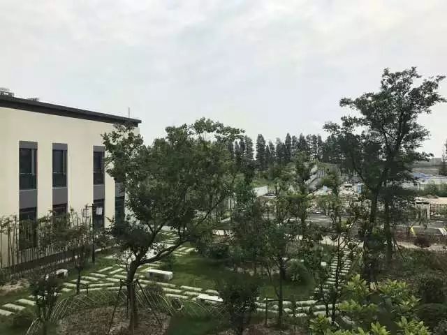 秀洲区新建医院,秀洲区最大医院