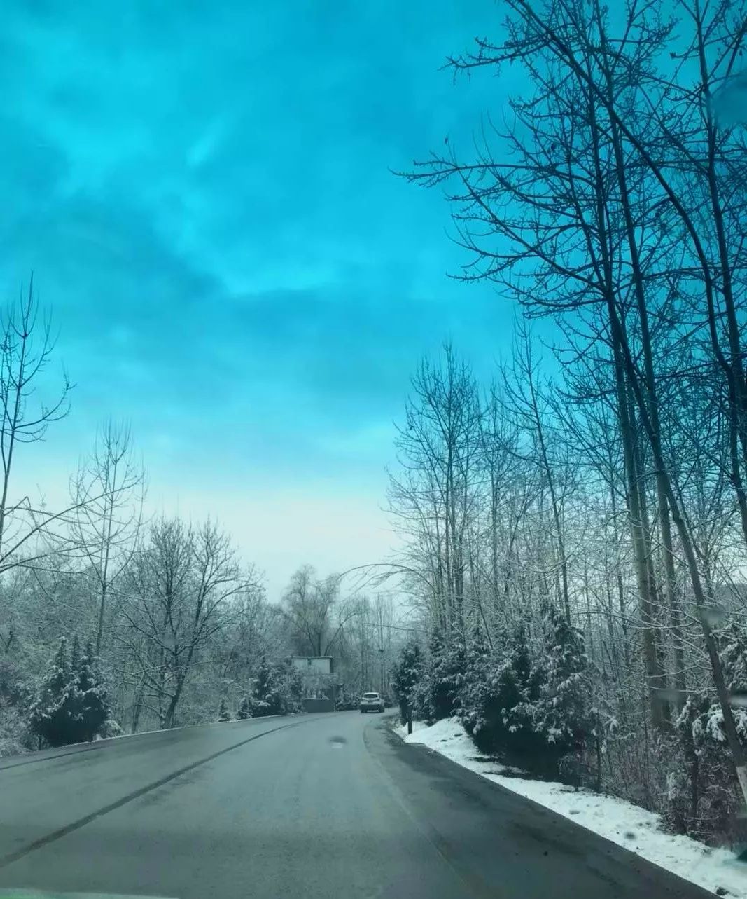 十八年后回归家庭,十八年后回家完整版