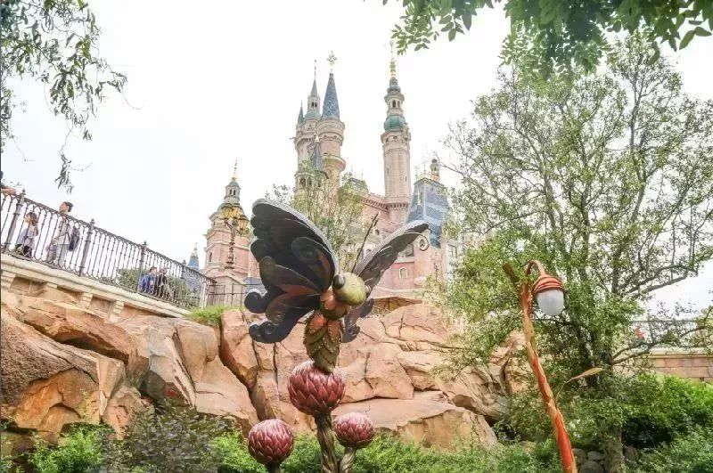 今年9月，郑州每天1趟动车到香港！要不要去香港逛逛？