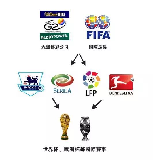 揭秘赌球内幕真相,赌球内幕大揭秘