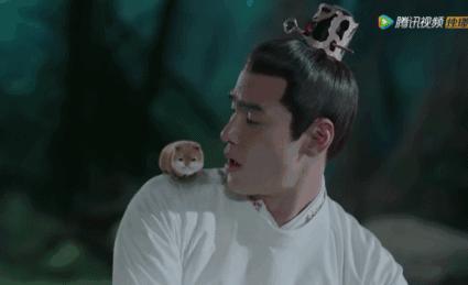 扶摇中阮经天饰演角色叫什么名字,扶摇电视剧扶摇变身凤凰片段