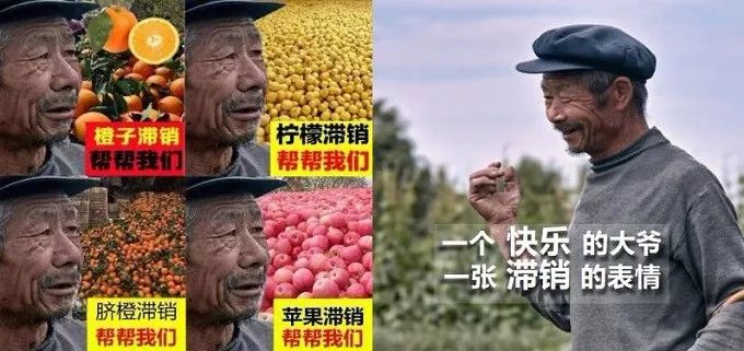 总有一款适合你春耕备耕进行中,现代农业案例分享