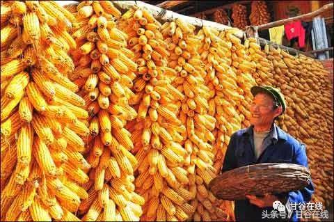 甘谷方言解说,甘谷方言版全文