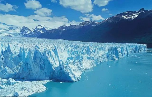 世界杯决赛潘帕斯雄鹰高卢,格子军团vs潘帕斯雄鹰复仇之刃