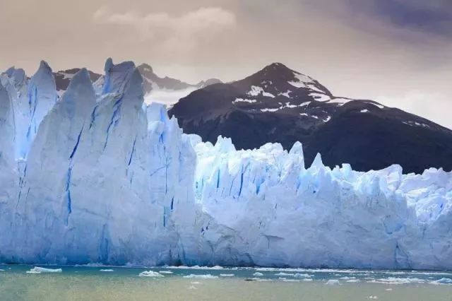 世界杯决赛潘帕斯雄鹰高卢,世界杯潘帕斯进球