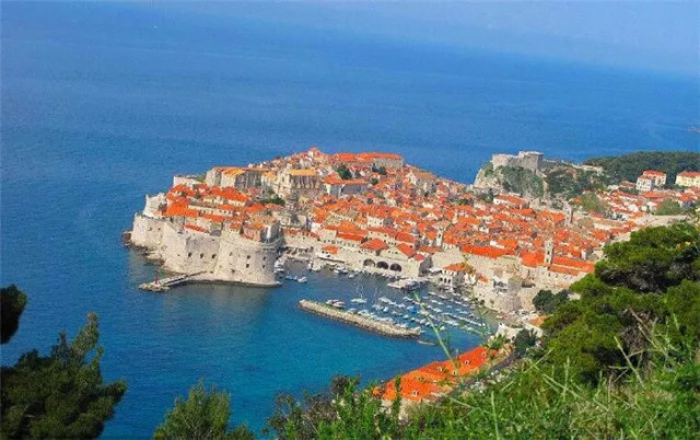 世界杯决赛潘帕斯雄鹰高卢,格子军团vs潘帕斯雄鹰复仇之刃