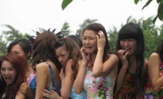 足彩停售最新信息,关于足彩停售