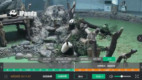 看着星空撸熊猫，这两个直播间24H都能给你惊喜