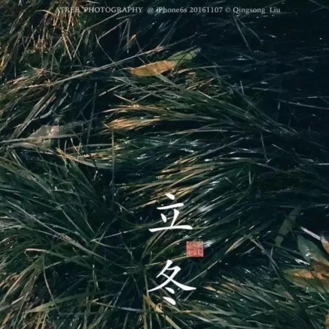 夏至在最短的夜陪你做最长的梦,夏至是白天对你思念最长的一天