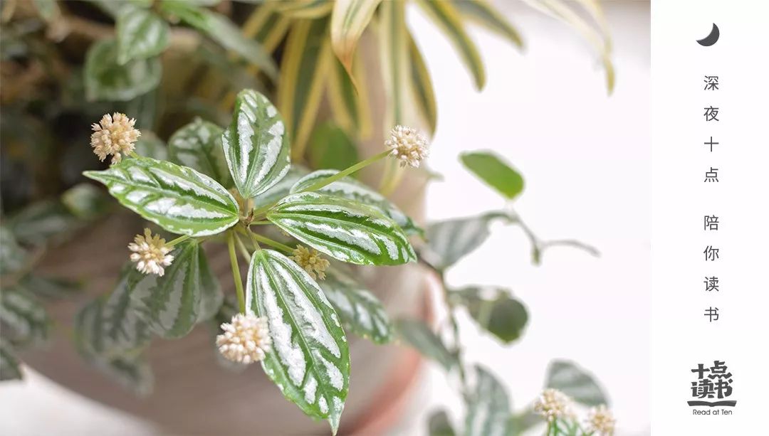 这个世界聪明人太多肯下笨功夫,聪明人都下笨功夫却只想走捷径