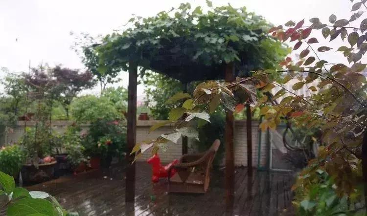 香香的花园自拍杆,香香的花围墙推荐