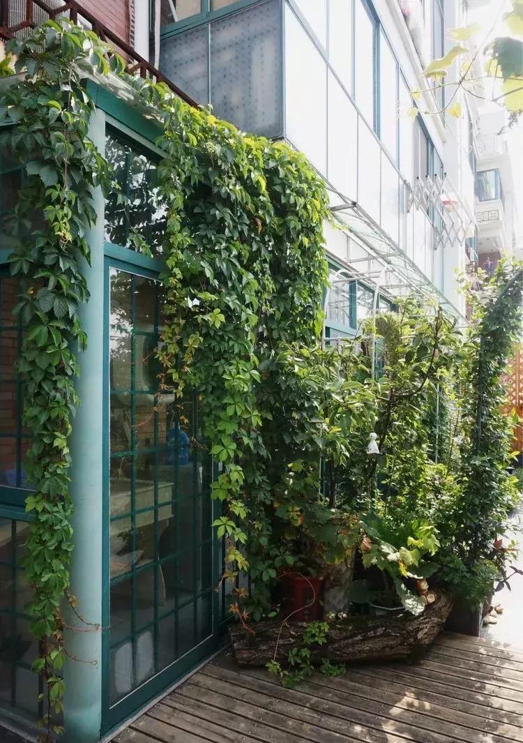 香香的花园自拍杆,香香的花围墙推荐